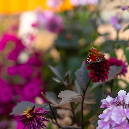 Апартаменти Kotzebue - Kalamaja 2-room With Large Terrace - Urban Drama For Four *