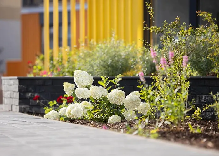 公寓 Kotzebue - Kalamaja 2-room With Large Terrace - Urban Drama For Four *