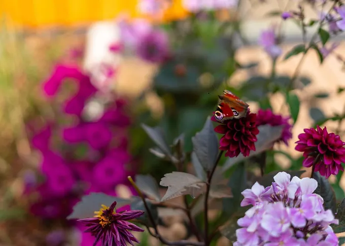 公寓 Kotzebue - Kalamaja 2-room With Large Terrace - Urban Drama For Four *