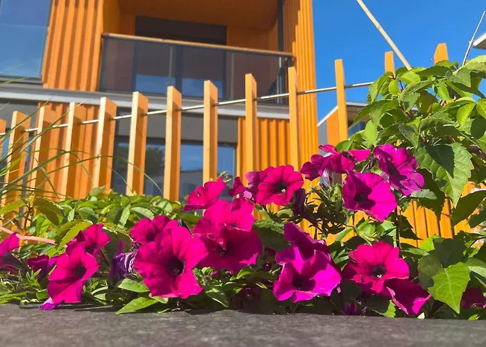 Kotzebue - Kalamaja 2-room With Large Terrace - Urban Drama For Four 公寓