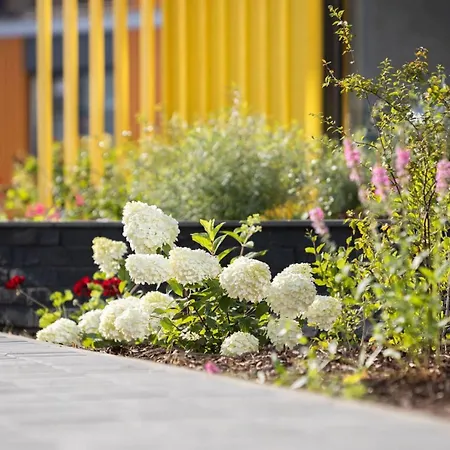 Apartman Kotzebue - Kalamaja 2-room With Large Terrace - Urban Drama For Four *